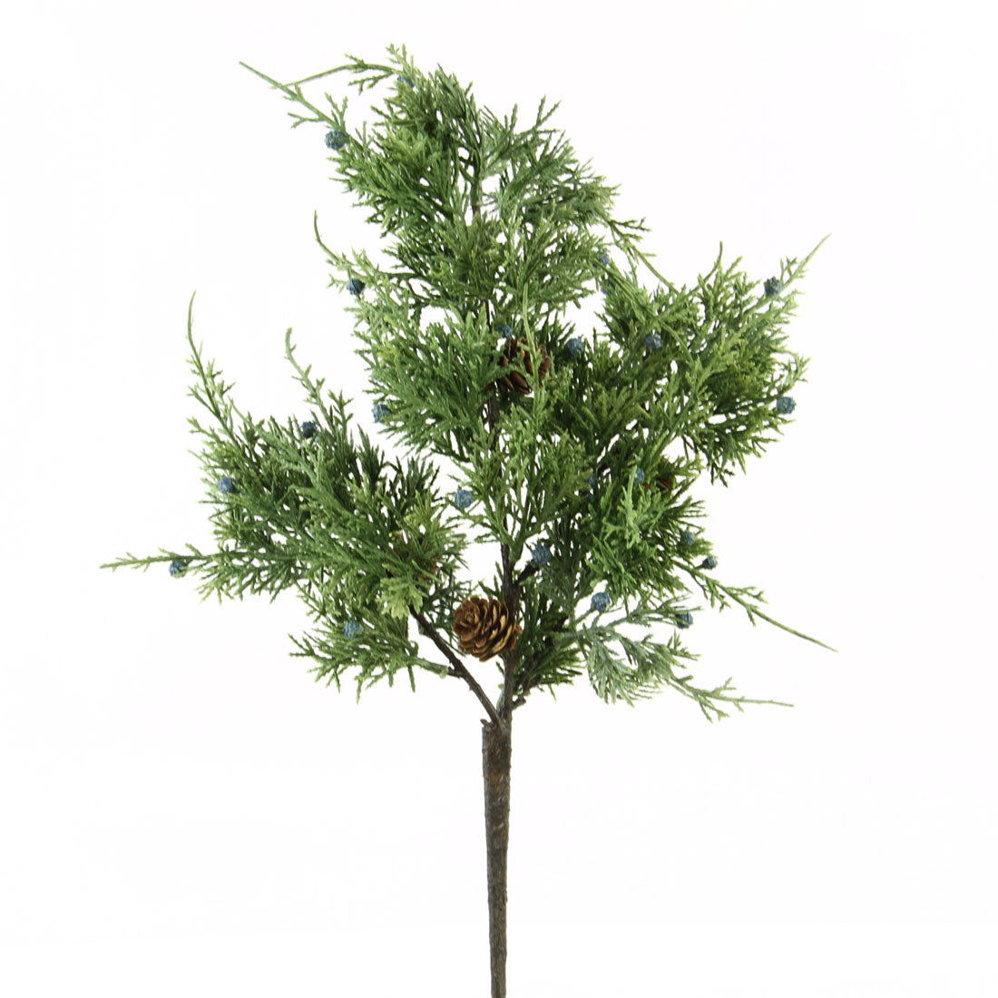 24"BLUE PANT JUNIPER PICK