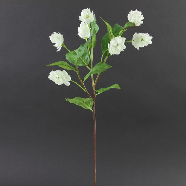 22" HOPS WHITE