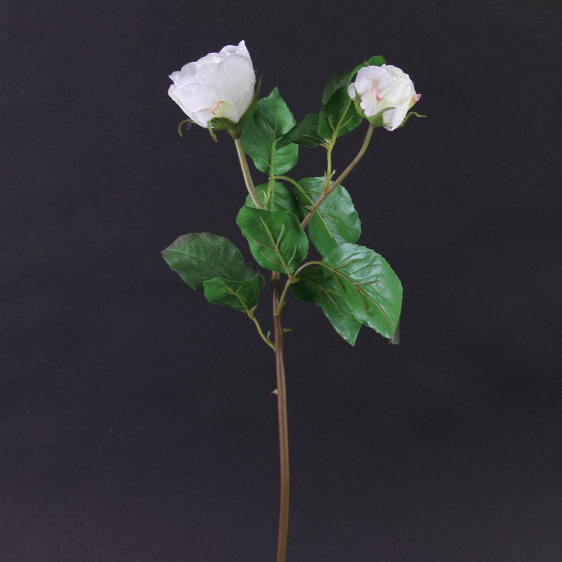 19"ENGLISH ROSE WHITE