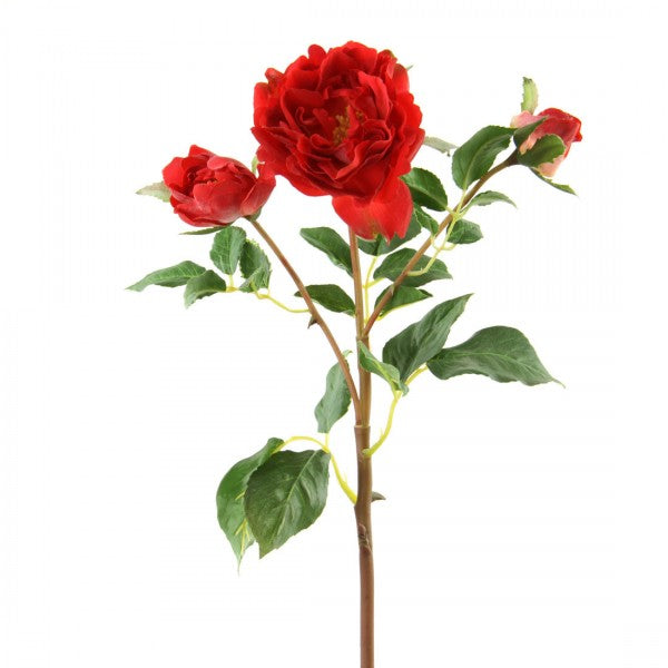 19 INCH ENGLISH RUFFLE ROSE
