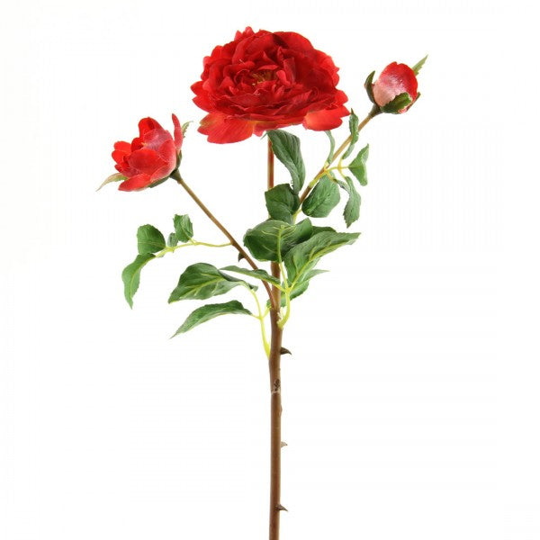 19 INCH ENGLISH RUFFLE ROSE