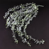 25"UV EUCALYPTUS HANG.BUSH