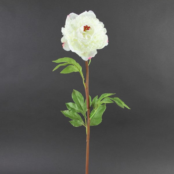 36"OPEN PEONY CREAM A4