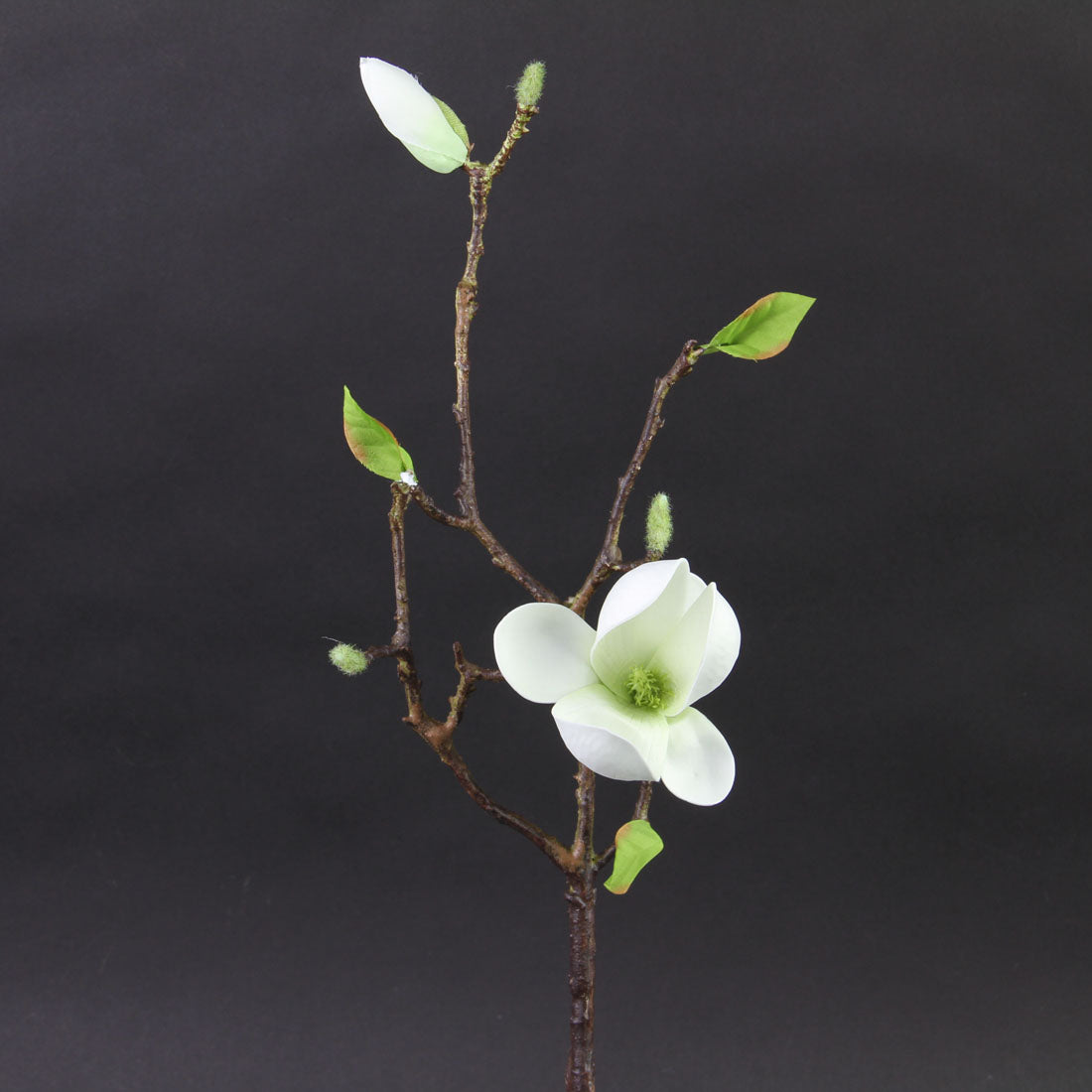 20"MAGNOLIA BUDS TREE PICK