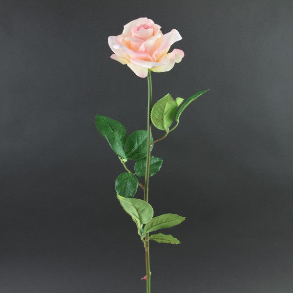 28"FULL OPEN DUTCH ROSE A4