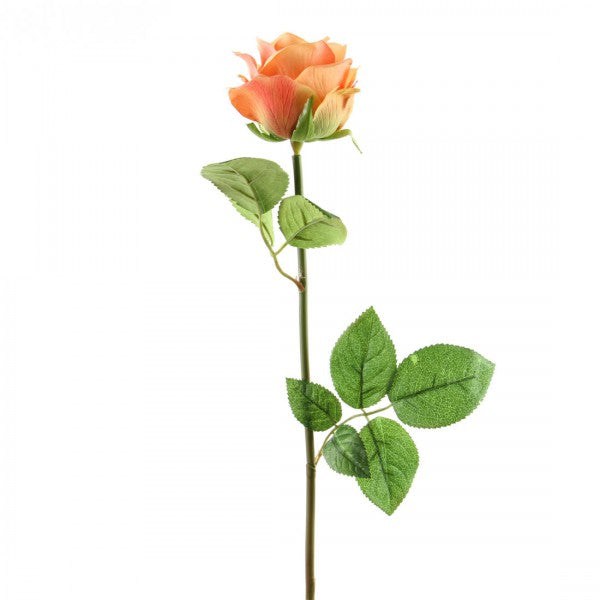 25.5"OPEN DUTCH ROSE A4