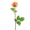 25.5"OPEN DUTCH ROSE A4