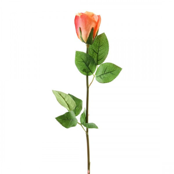 25.5"DUTCH ROSE BUD PEACH A4