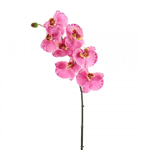 33.5"ORCHID PHALAENOPSIS X7