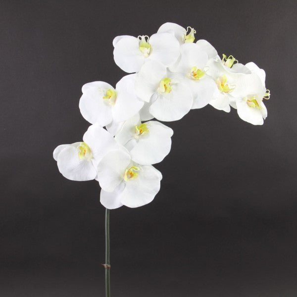 44"ORCHID PHALAENOPSIS X12