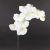 44"ORCHID PHALAENOPSIS X12