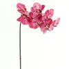37.5"PHALAENOPSIS ORCHID X8