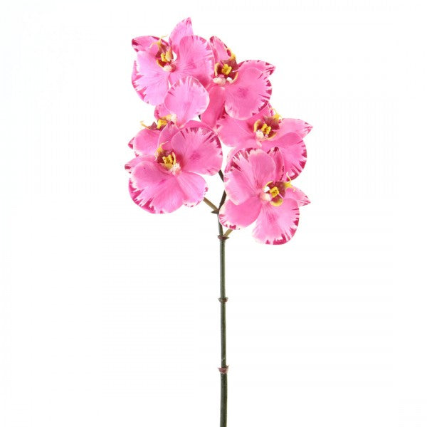 22"ORCHID PHALAENOPSIS A4