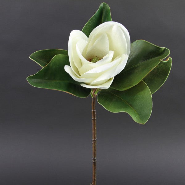 24"MAGNOLIA TT.WHITE