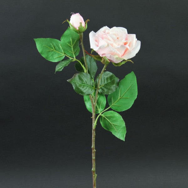 20"DUTCH ROSE X2 PINK