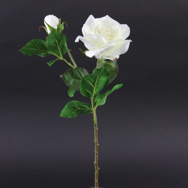 20"DUTCH ROSE X2 WHITE