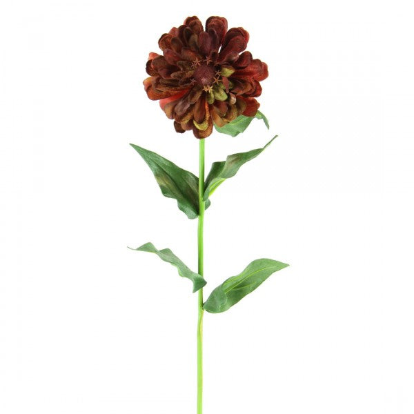 24"WILD ZINNIA A4 B9