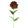 24"WILD ZINNIA A4 B9