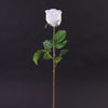 24"DUTCHESS ROSE BUD WHT