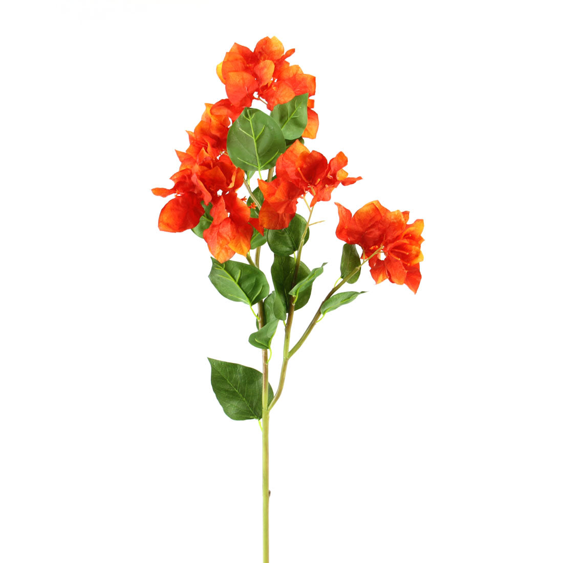 34.5"BOUGAINVILLEA ORANGE