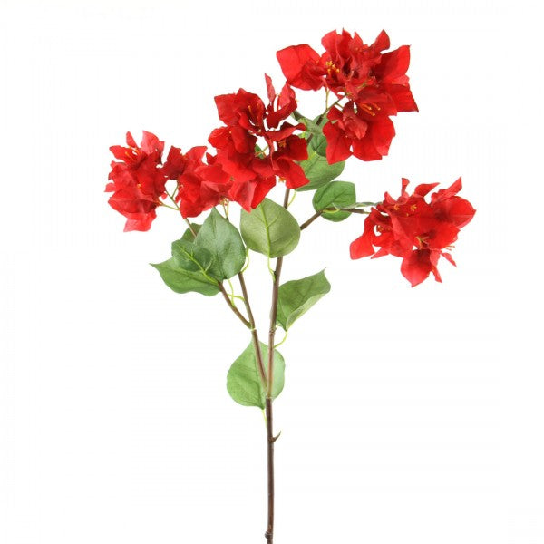 34.5"BOUGAINVILLAEA RED
