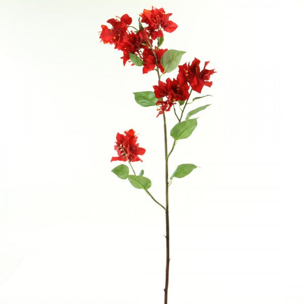 43"BOUGAINVILLAEA RED