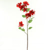 43"BOUGAINVILLAEA RED