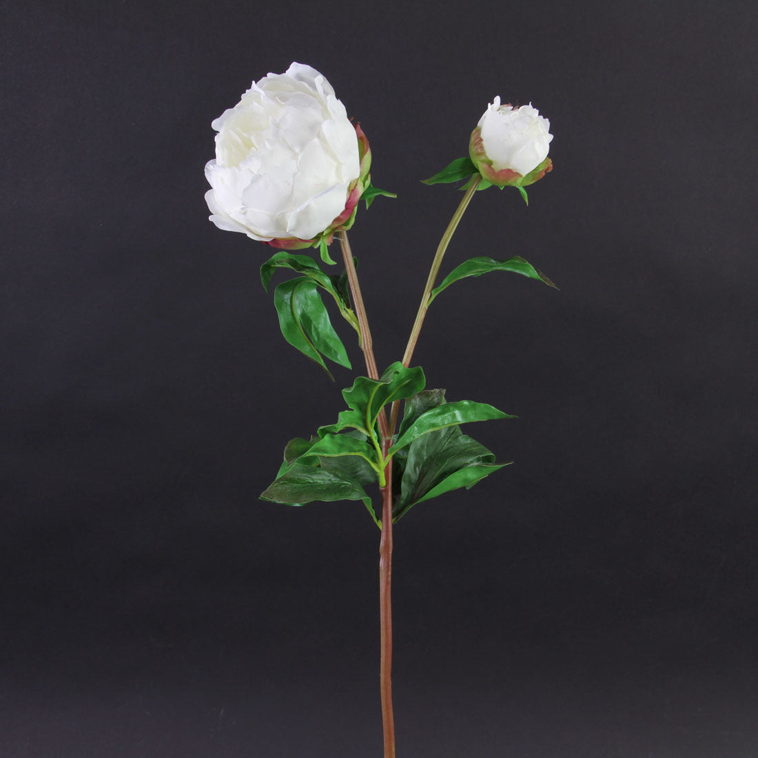 27" PEONY BEIGE