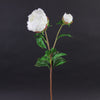 27" PEONY BEIGE