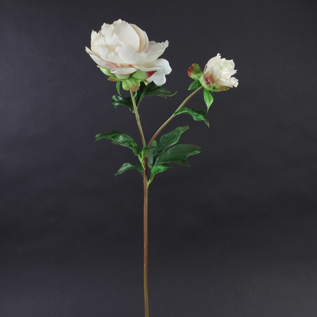 27" PEONY DUSTY PEACH