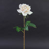 20"OPEN DUTCHESS ROSE STEM