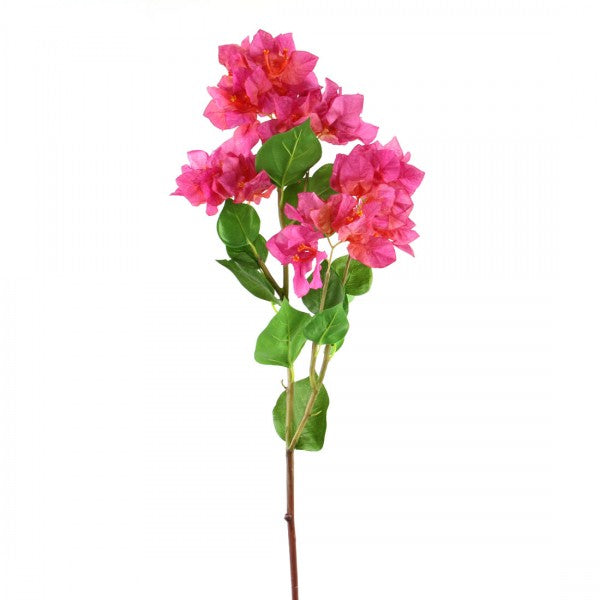 34.5"BOUGAINVILLAEA FUCHSIA