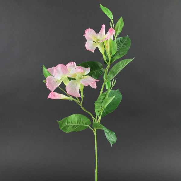 24"MANDEVILA SPRAY A25 B14