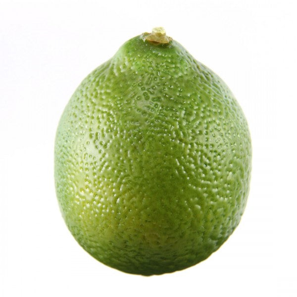 3.1" LIME GREEN