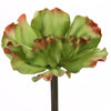 6"SUCCULENT RUFFLE PICK