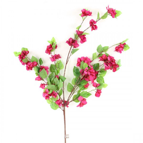 43"BOUGAINVILLEA BUSH FUCHSIA