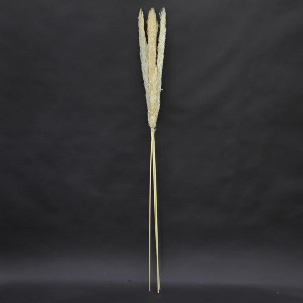 47-53"FLUFFY PAMPAS 3/PKG