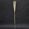 47-53"FLUFFY PAMPAS 3/PKG