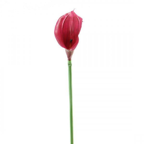 27" LATEX CALLA LILY A25