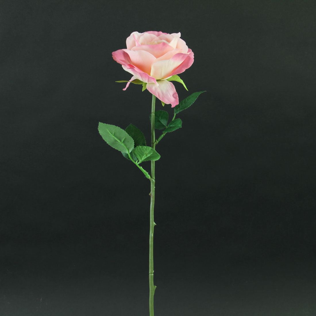 21"KING ROSE STEM PINK