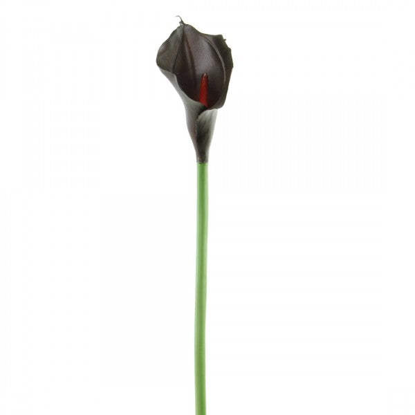 27" LATEX CALLA LILY A25