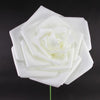 LG.FOAM ROSE HEAD