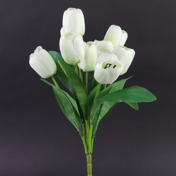 TULIP BUSH X9 CREAM