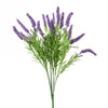 SPIKE SPEEDWELL BUSH