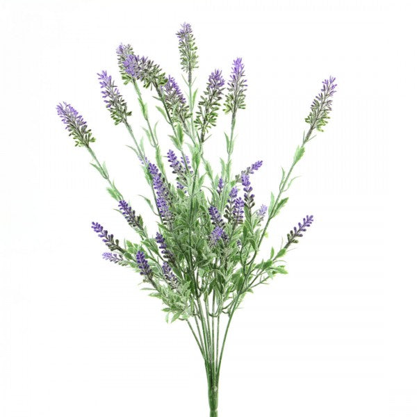 LAVENDER BUSH PURPLE