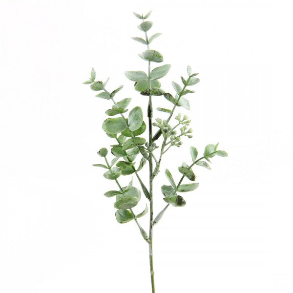 13.5" EUCALYPTUS X7 GREEN