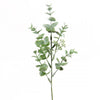 13.5" EUCALYPTUS X7 GREEN