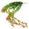 40"HANG.BOXWOOD X5