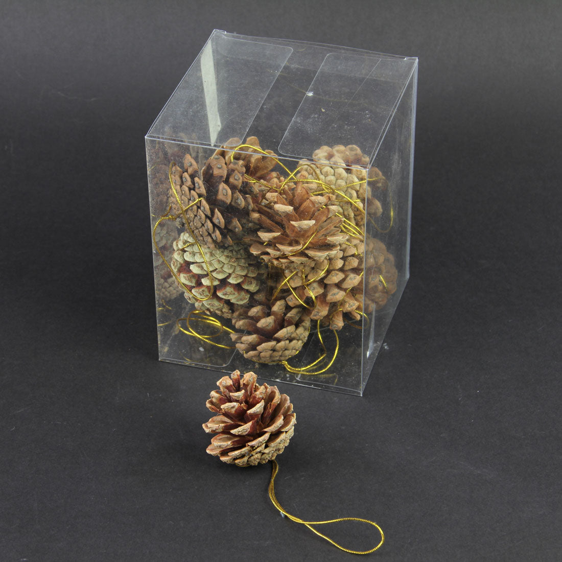 SNOW PINECONE ORNA 12/BX