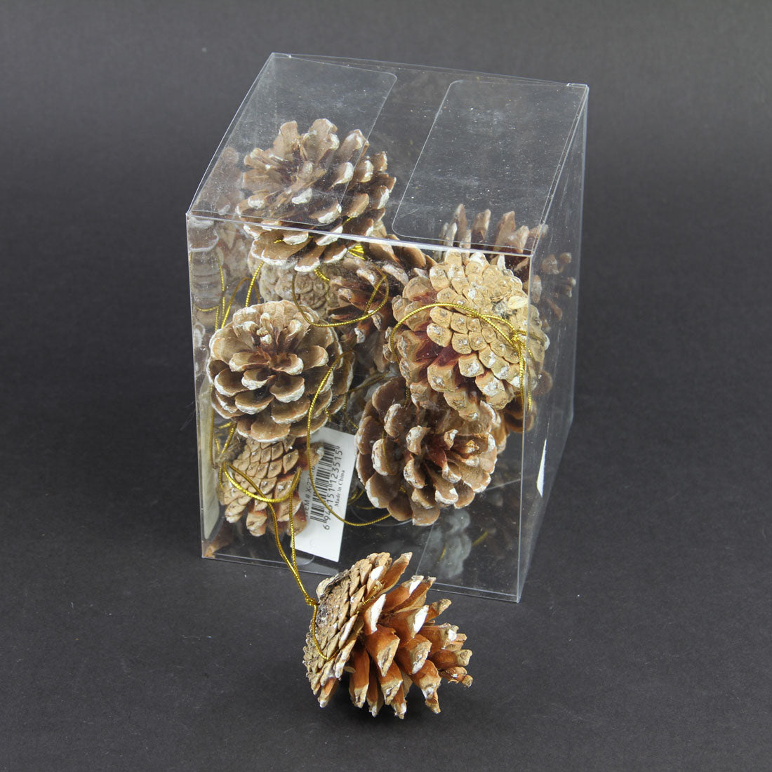 SNOW PINECONE ORNA 12/BX